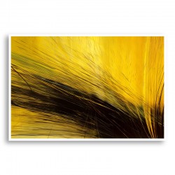 Golden Hay 2 Abstract Art Print