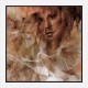 Taube Moewe and Jana Abstract Art Print Taube Moewe and Jana Abstract Art Print