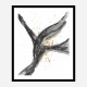 Dance Abstract Art Print Dance Abstract Art Print