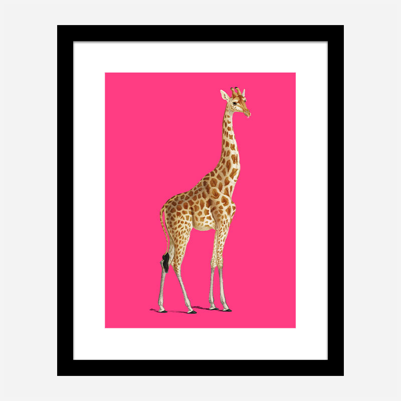 Vintage Giraffe Illustration Bright Pink Art Print