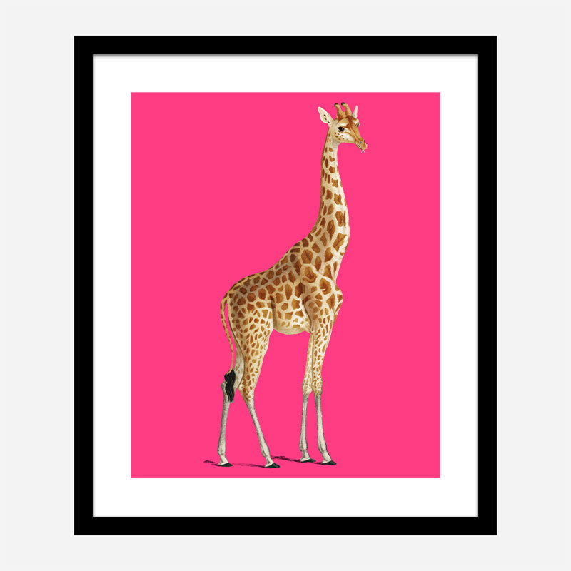 Vintage Giraffe Illustration Bright Pink Art Print