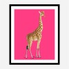 Framed Print 