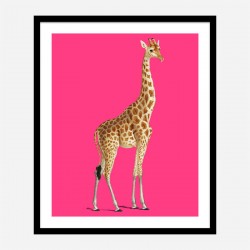 Vintage Giraffe Illustration Bright Pink Art Print