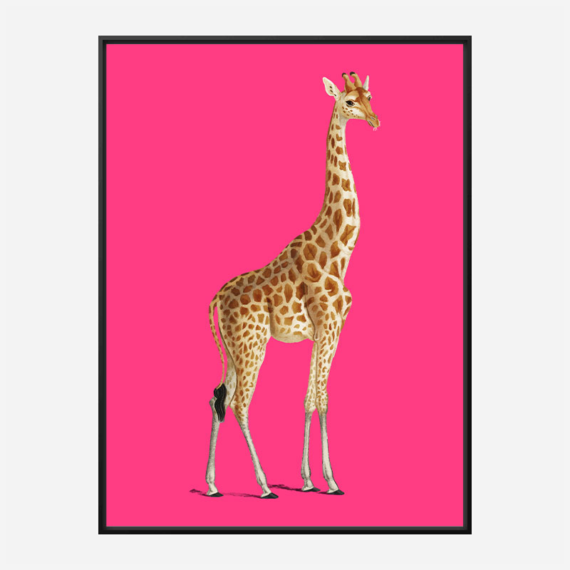 Vintage Giraffe Illustration Bright Pink Art Print