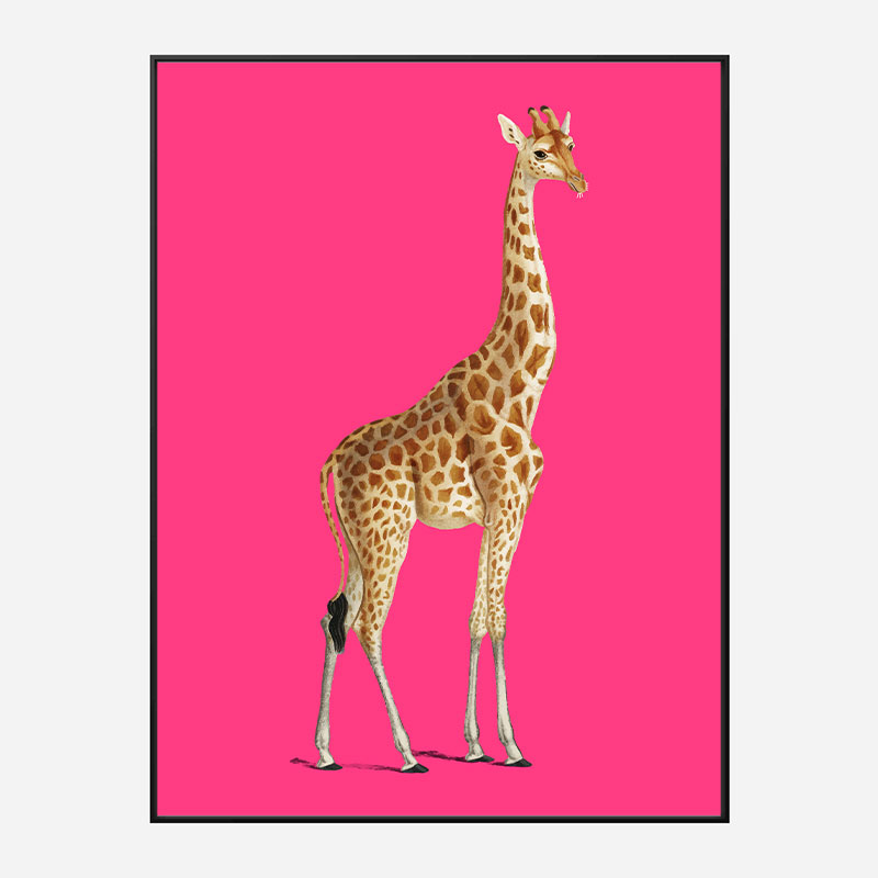 Vintage Giraffe Illustration Bright Pink Art Print