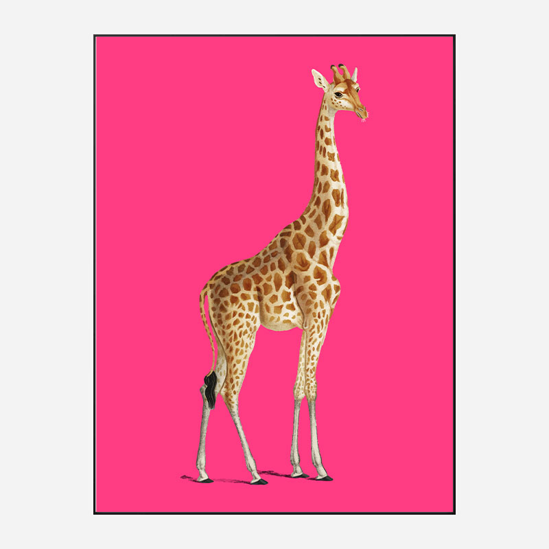 Vintage Giraffe Illustration Bright Pink Art Print