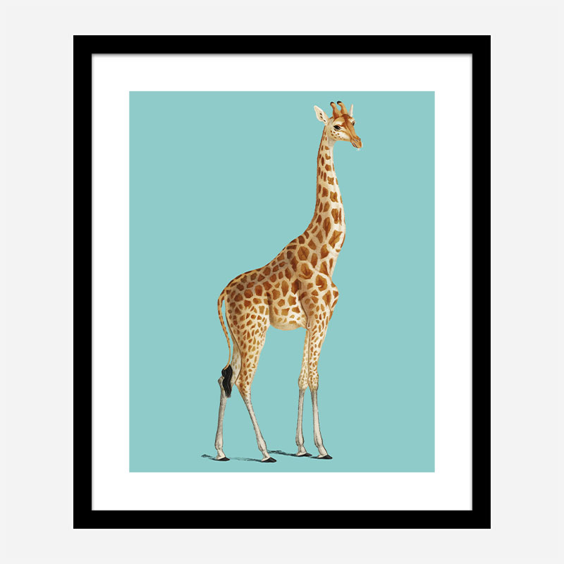 Vintage Giraffe Illustration Blue Art Print