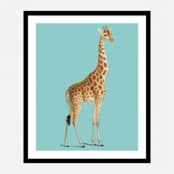 Vintage Giraffe Illustration Blue Art Print