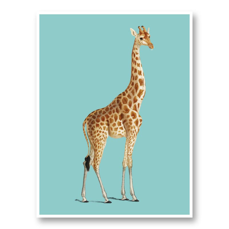 Vintage Giraffe Illustration Blue Art Print