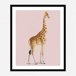 Vintage Giraffe Illustration Pink Art Print