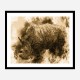 Rhino Abstract Art Print