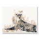 Focused Leopard Abstract Art Print