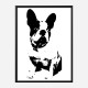 French Bulldog Black & White Art Print