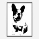 French Bulldog Black & White Art Print