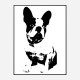 French Bulldog Black & White Art Print