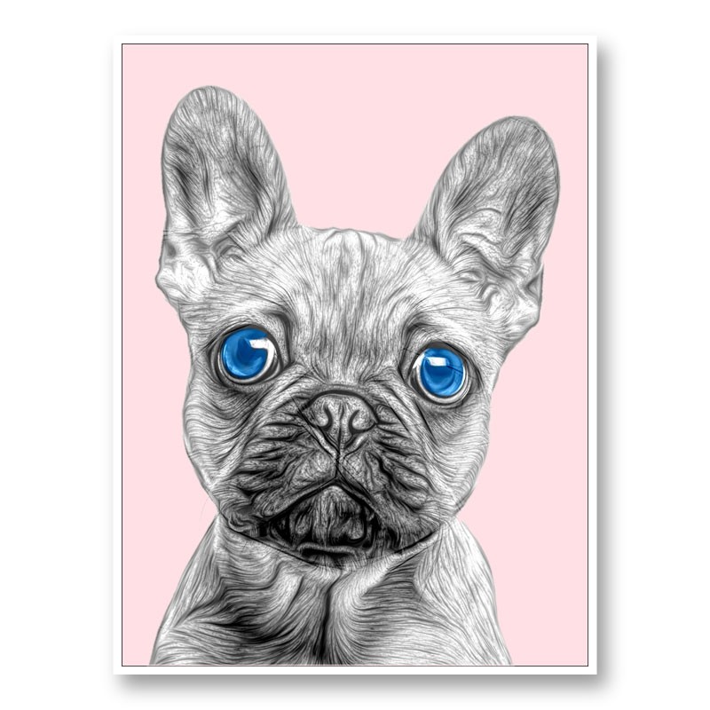 Blue Eyes French Bulldog Art Print