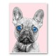 Blue Eyes French Bulldog Art Print