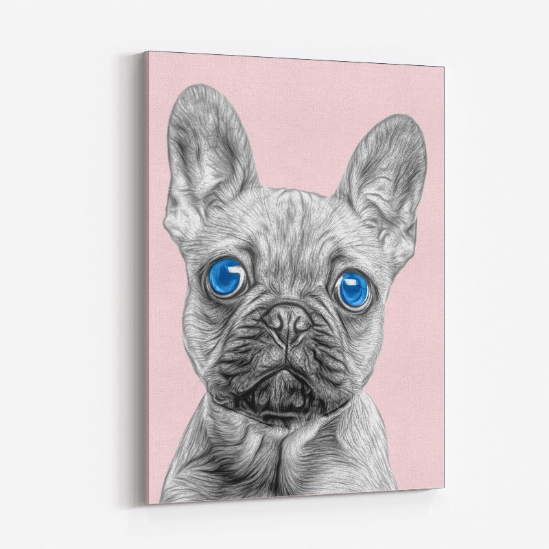 Blue Eyes French Bulldog Art Print