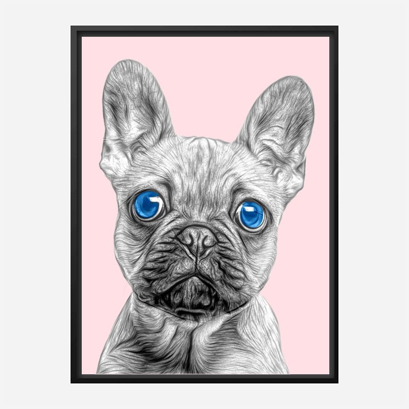 Blue Eyes French Bulldog Art Print