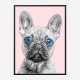 Blue Eyes French Bulldog Art Print