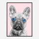 Blue Eyes French Bulldog Art Print