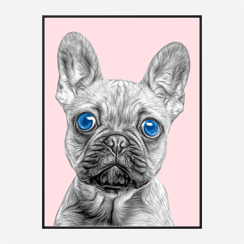 Blue Eyes French Bulldog Art Print