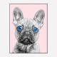 Blue Eyes French Bulldog Art Print