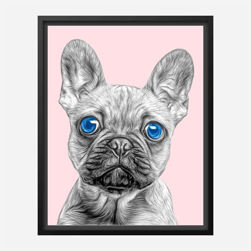 Blue Eyes French Bulldog Art Print