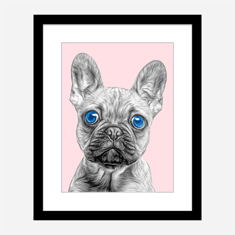 Blue Eyes French Bulldog Art Print