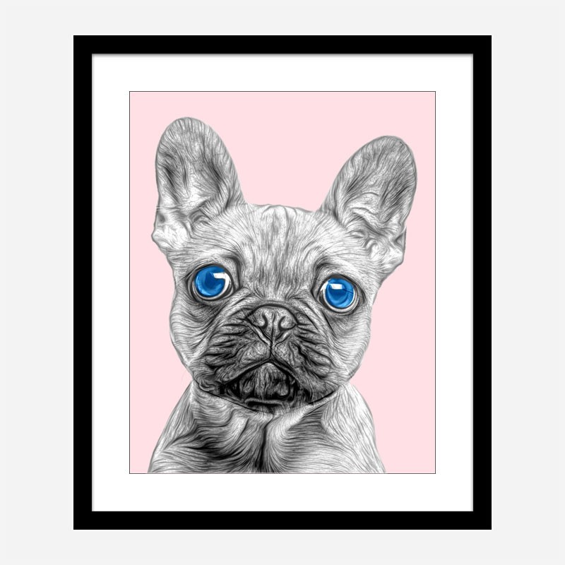 Blue Eyes French Bulldog Art Print
