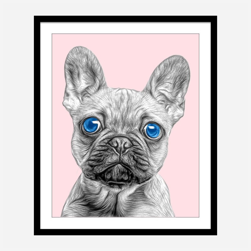 Blue Eyes French Bulldog Art Print