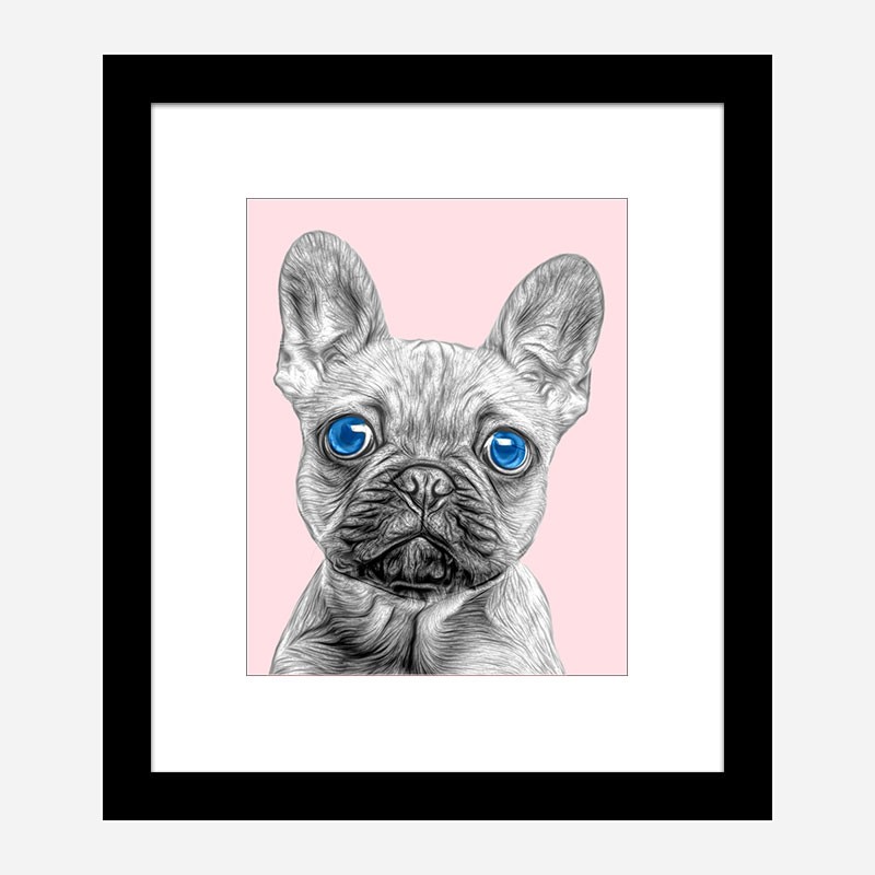 Blue Eyes French Bulldog Art Print