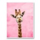 Pink Giraffe Art Print