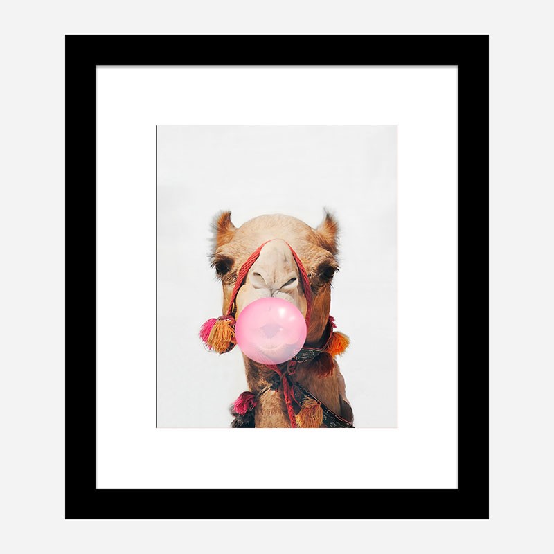 Camel Bubble Gum Art Print