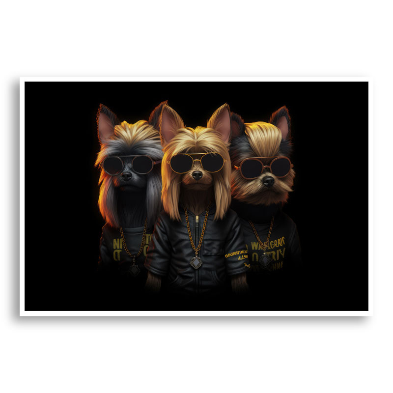 Yorkshire Terrier Gangster Dogs