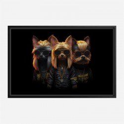 Yorkshire Terrier Gangster Dogs