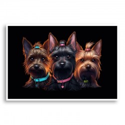 Yorkshire Terrier Gangster Dogs 2