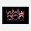 Framed Canvas 