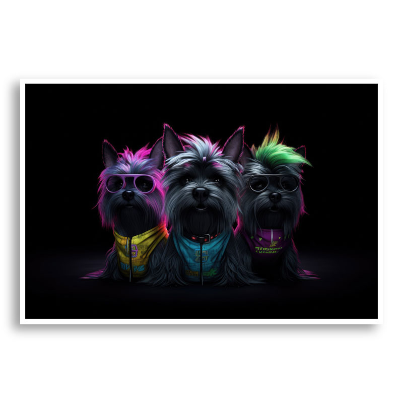 Yorkshire Terrier Gangster Dogs 3