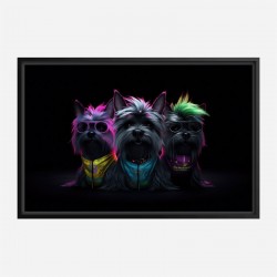 Yorkshire Terrier Gangster Dogs 3