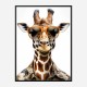 Giraffe In Shades Art Print