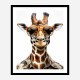 Giraffe In Shades Art Print