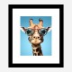 Giraffe In Shades 2 Art Print