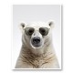 Polar Shades Art Print Polar Shades Art Print