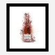 Tattinger Brut Rose Champagne Art Print