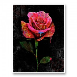 Graffiti Rose Art Print