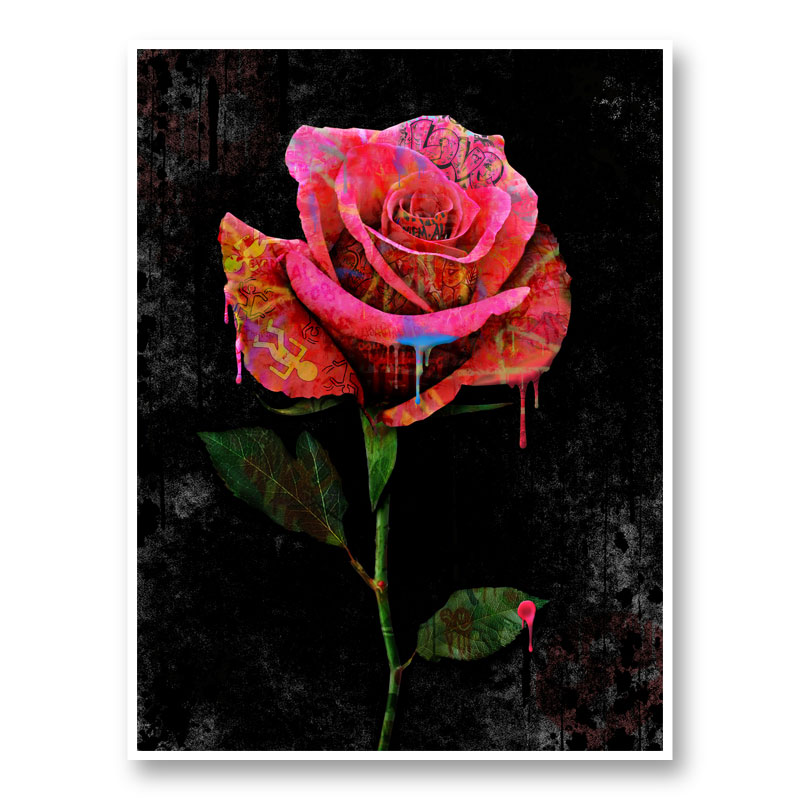 Graffiti Rose Art Print Graffiti Rose Art Print