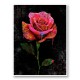 Graffiti Rose Art Print Graffiti Rose Art Print