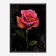 Graffiti Rose Art Print Graffiti Rose Art Print