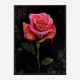 Graffiti Rose Art Print Graffiti Rose Art Print